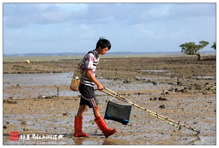 湛江一日游最佳景点湛江特呈岛,特呈岛湛江旅游攻略