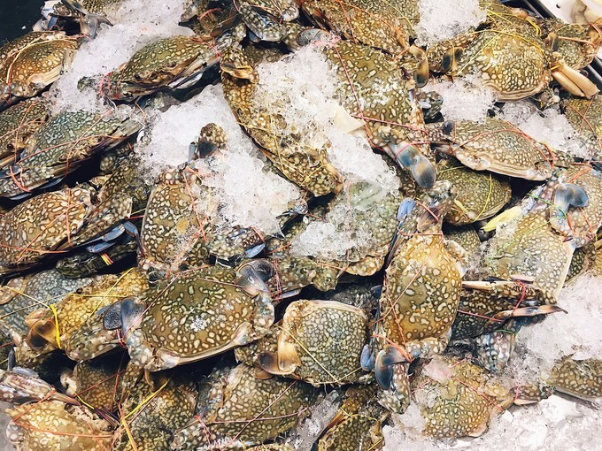 席娜卡琳火车夜市攻略,泰国斯纳卡琳老火车夜市