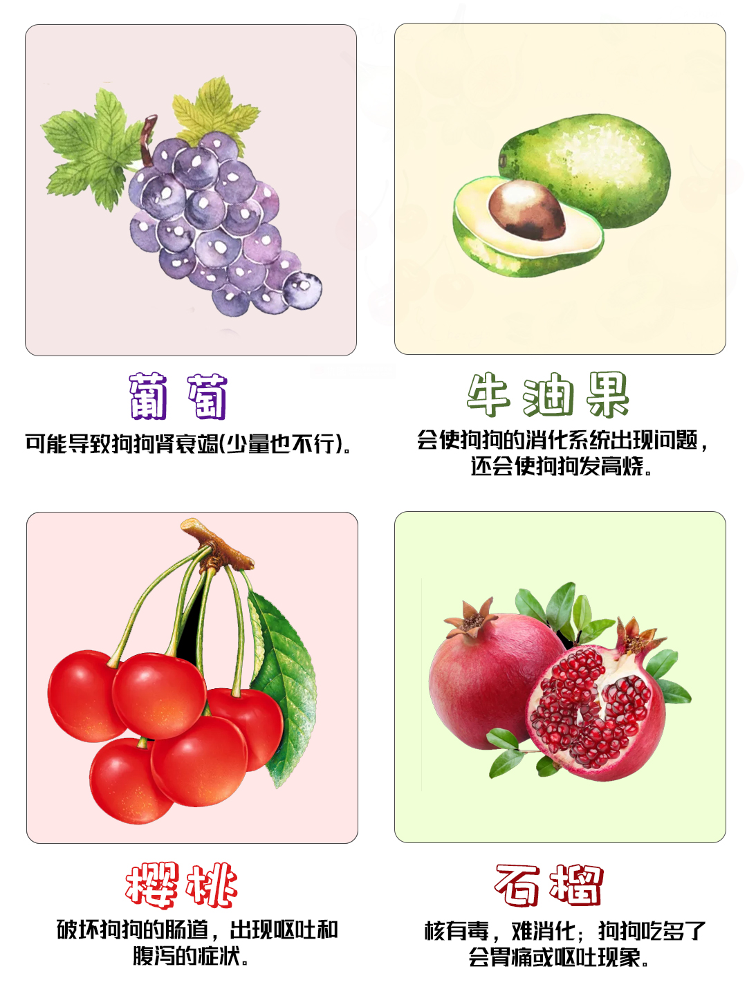 新手养狗注意事项狗狗不能吃什么,养狗攻略必备