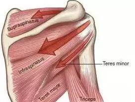 中医怎么看肩膀冈上肌疼痛,肩膀冈上肌疼痛