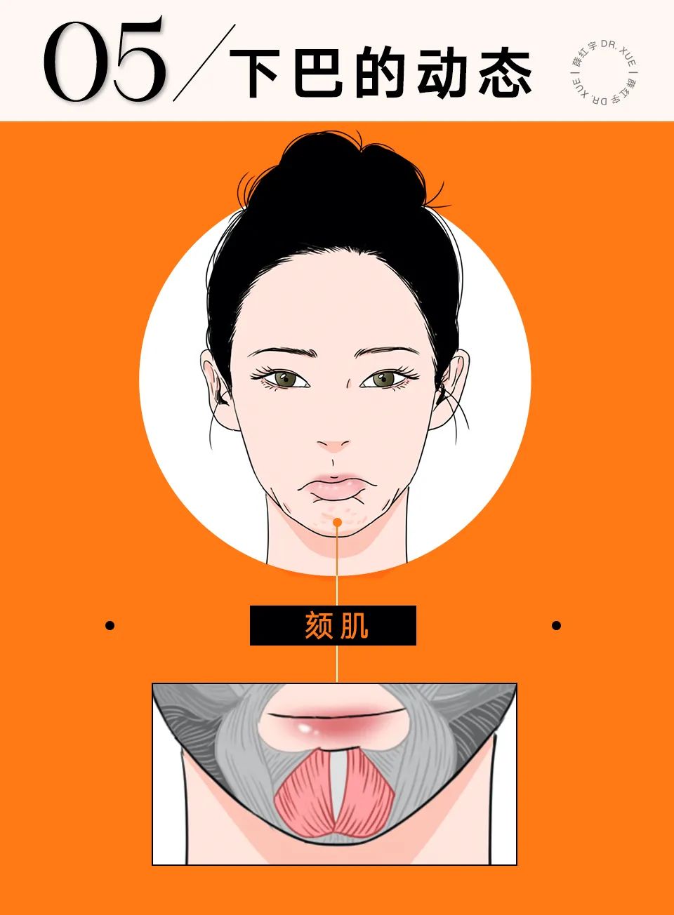 下巴宽厚的人,头尖下巴宽厚