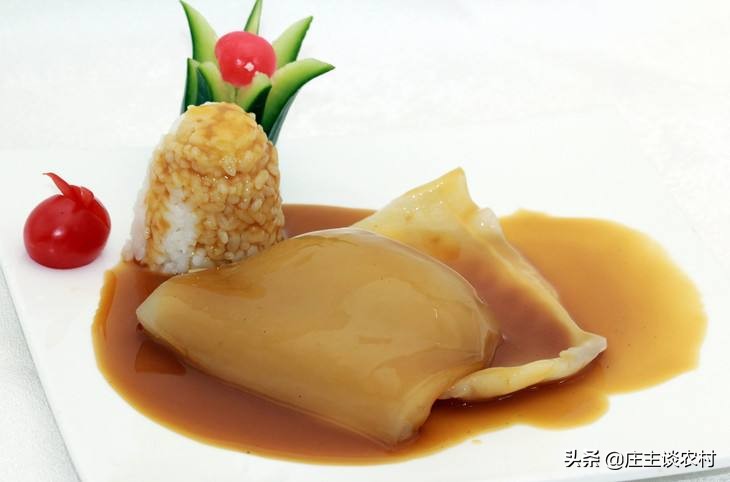 保护的小动物有哪些,保护类小动物