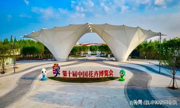 第十次花博会会花,花博会景点有哪些花展
