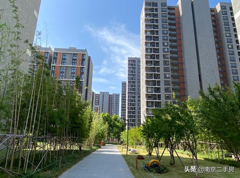 凭实力吸粉!成交破4万/㎡,实探百家湖“网红”神盘