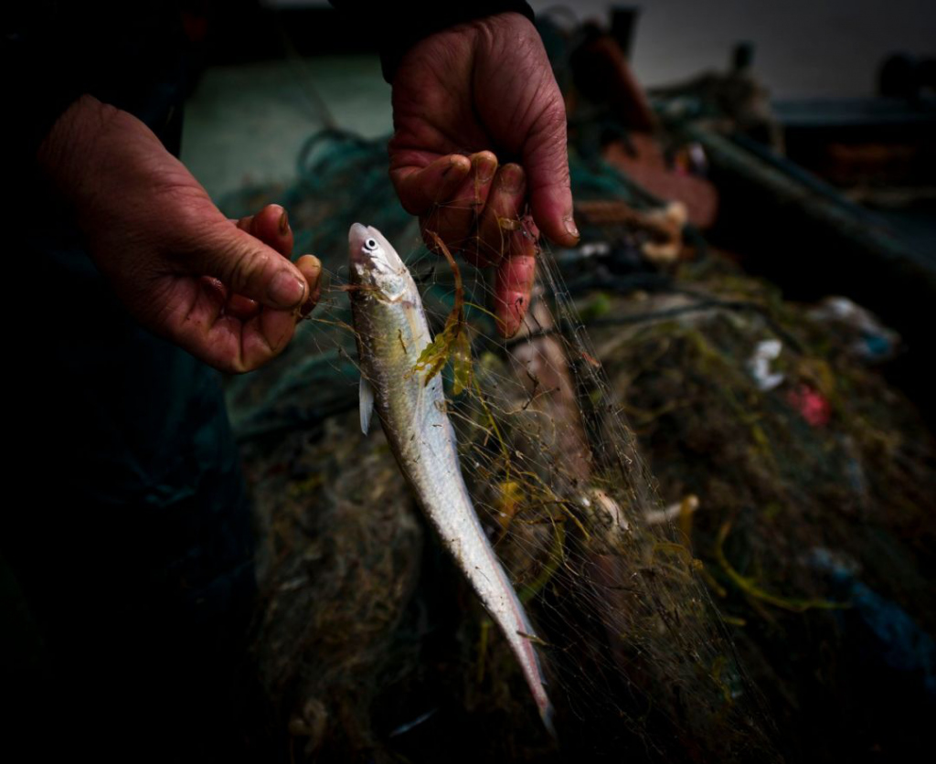 中国哪里的云吞最好吃,中国云吞面