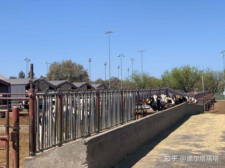 加州大学戴维斯分校和洛杉矶分校,加利福尼亚大学戴维斯分校qs