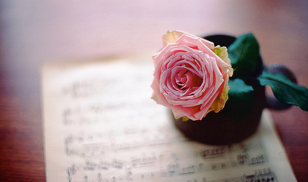 女人对一个男人死心了有什么表现,女人对一个男人彻底死心的前兆