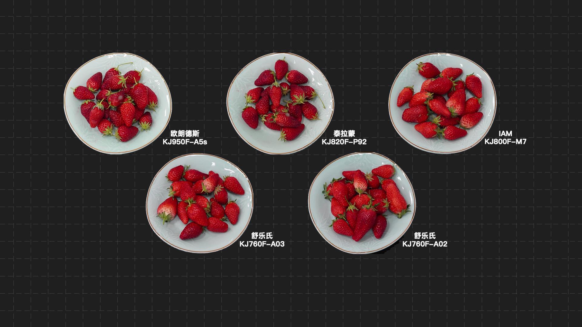 舒乐氏与欧朗德斯净化器哪个好,舒乐氏空气净化器和泰拉蒙哪个好