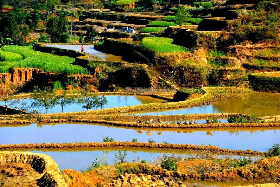 云南18个县城被评为天然氧吧,中国云南天然氧吧城市有哪几个