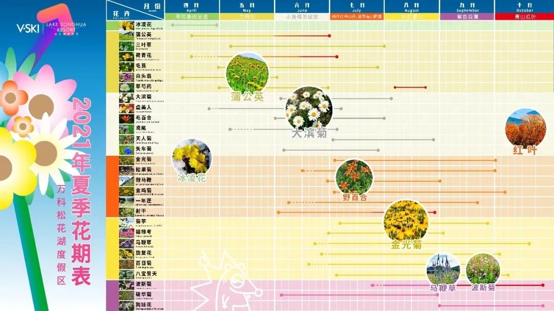 520婚礼优惠活动,520创意婚礼