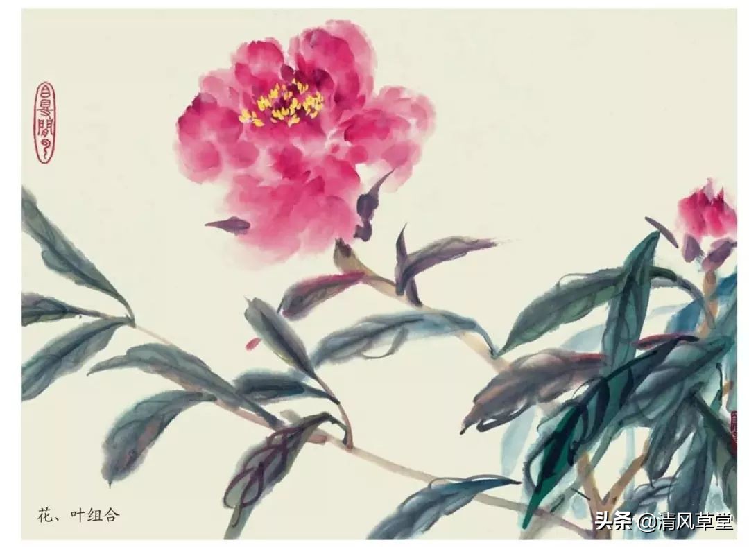 少儿国画花卉画法视频,各种花卉的100种画法