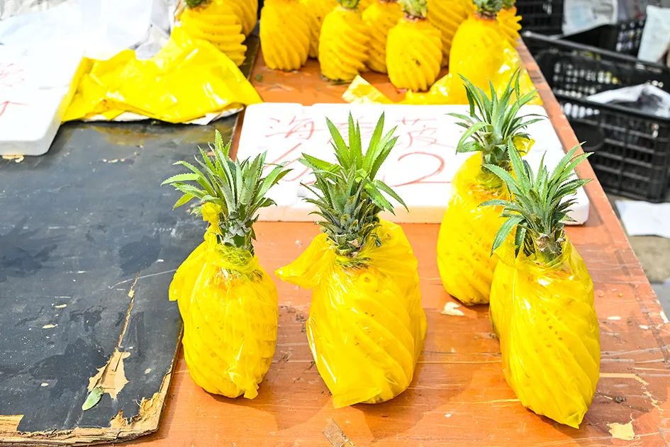 北京京郊大集地理位置,今天京郊哪有大集