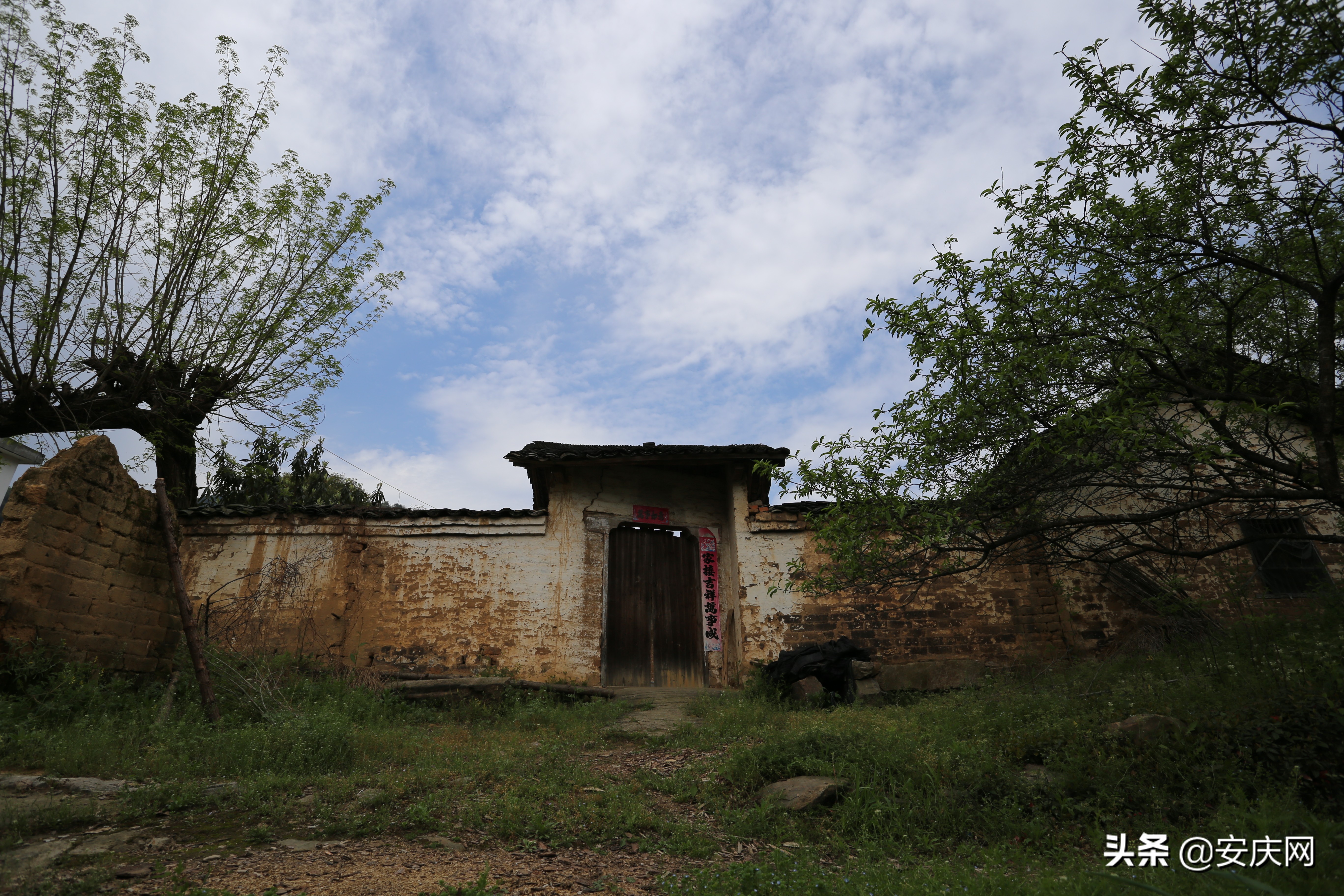 清明时节忆娘亲原唱,清明忆娘亲