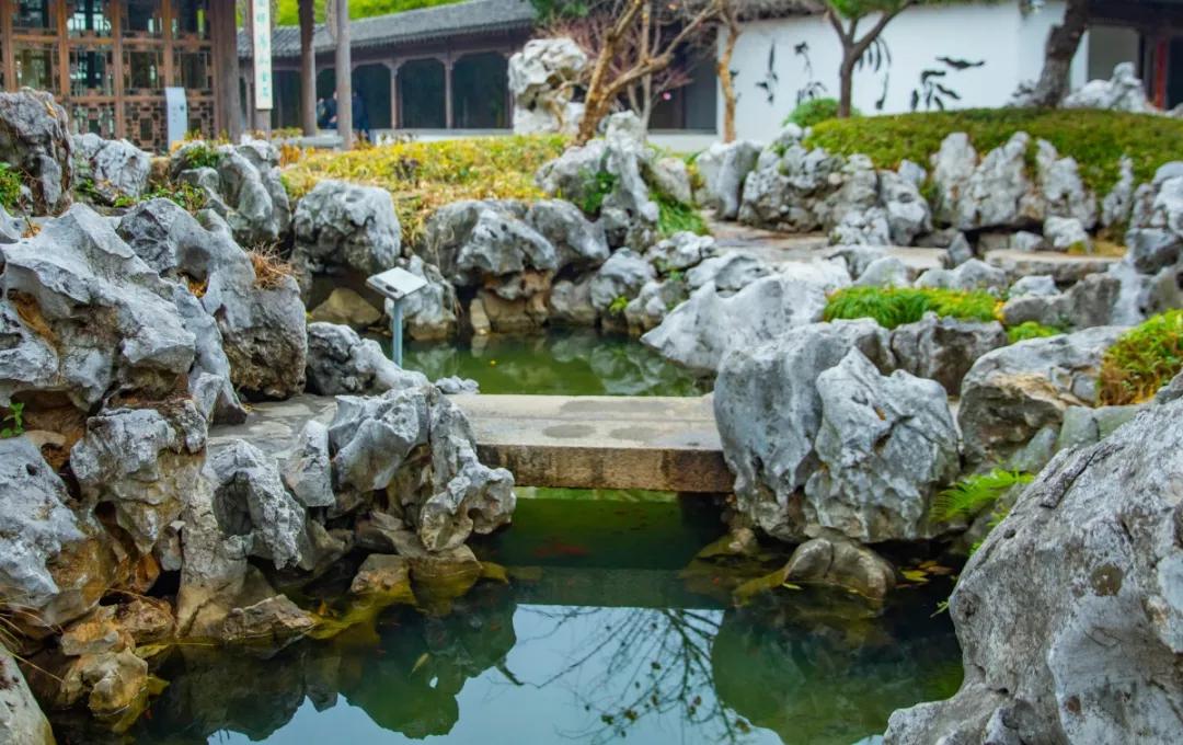 南京腊梅最佳观赏时间,南京赏梅花景点推荐