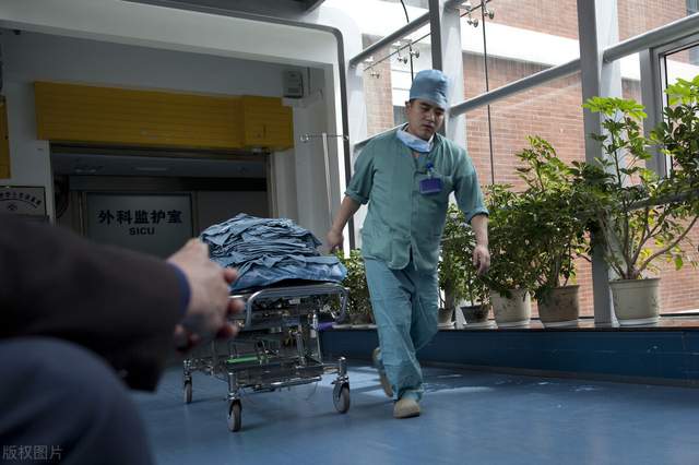 泰国的十条冷知识是什么,泰国49个冷知识