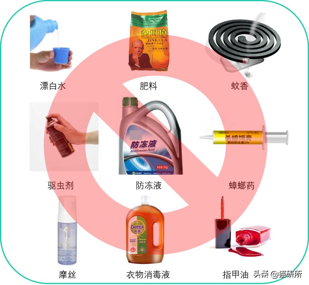 猫咪中毒急救药物,猫咪尿闭急救