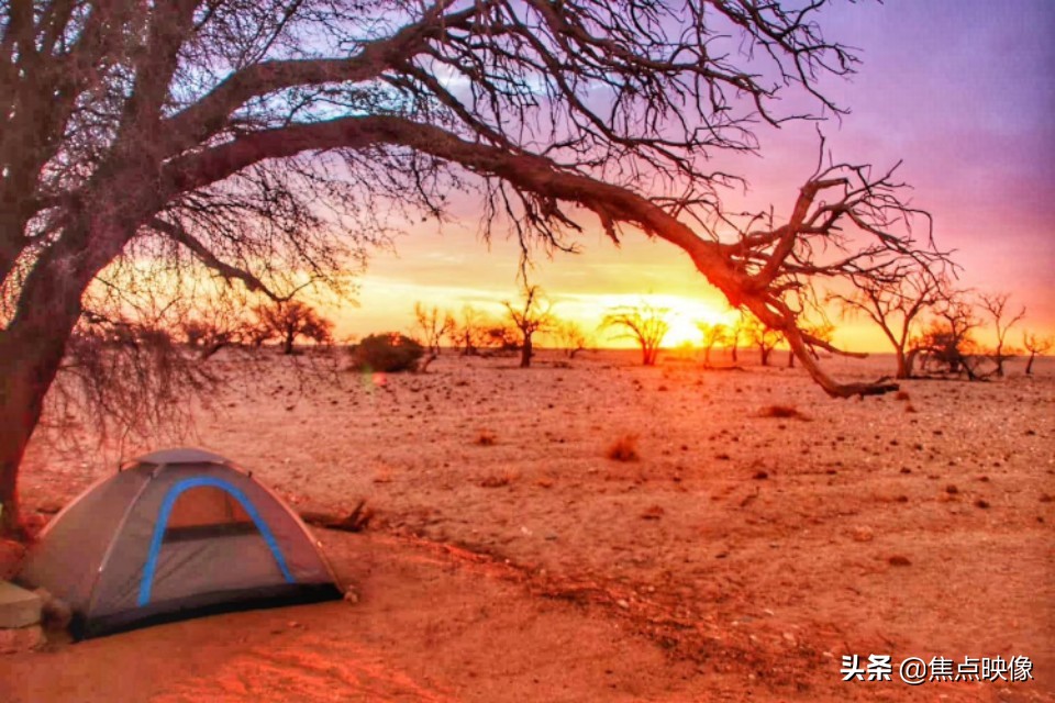生如夏花绚烂死如落叶精美字体,生如夏花绚烂死如秋叶静美英语