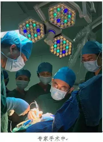 佩服！这么多专家来漳州，竟是为了这些人的耳朵