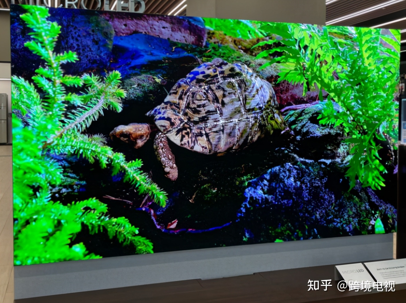 led高清液晶电视是什么品牌,led高清液晶电视