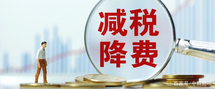 国税纳税申报的内容有哪些,个人所得税的纳税申报实例