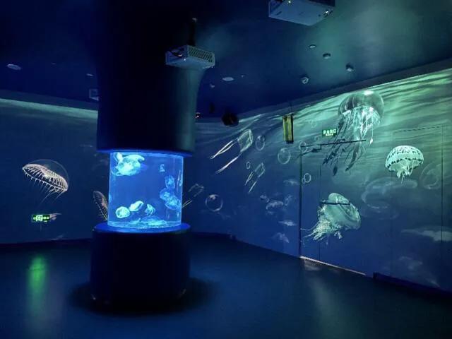 深圳十大暑假室内必去景点,深圳暑假值得带孩子旅游的地方