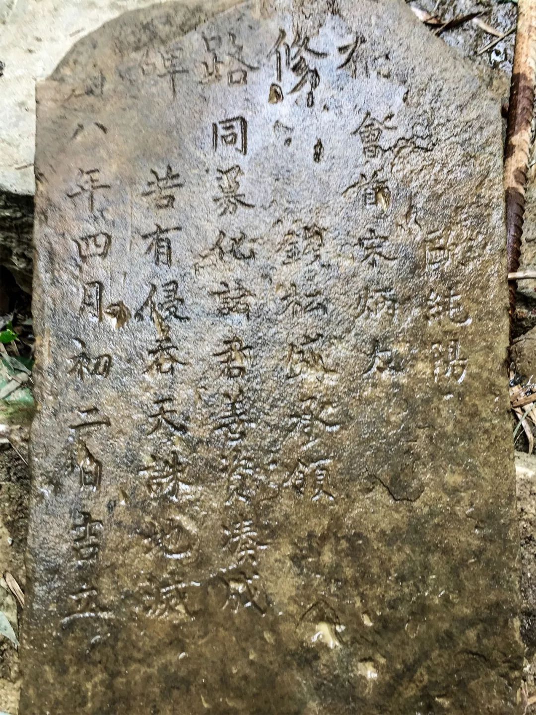 一家四口倾家荡产在山里造房隐居：3年零收入，坚持不通车