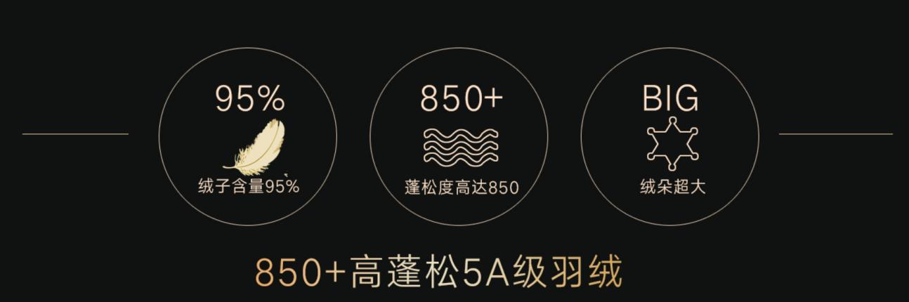 鹅绒羽绒被十大排名,高品质白鹅绒羽绒被推荐