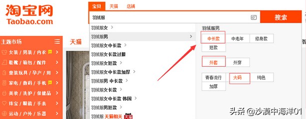 怎么优化淘宝宝贝标题,淘宝标题隐藏关键词技术代码