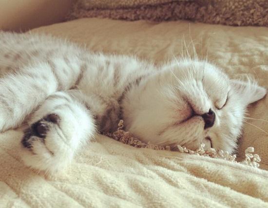 甲减是怎么回事能吃海带吗,甲减是怎么回事好治疗吗用什么药