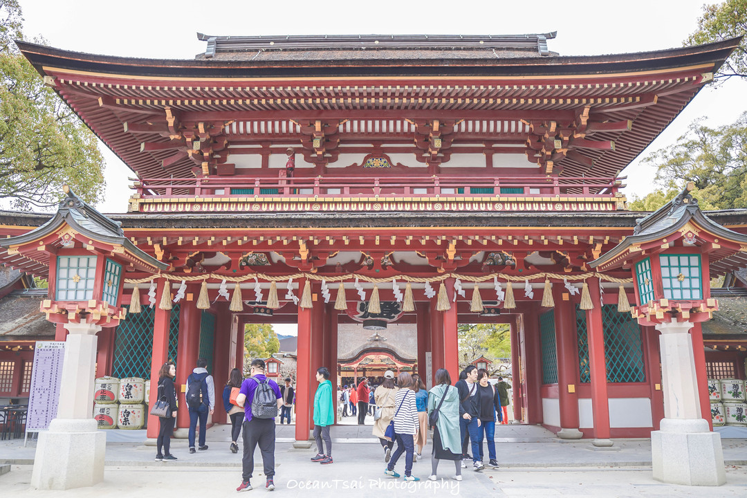 日本游轮游避坑,日本邮轮八天七夜具体行程