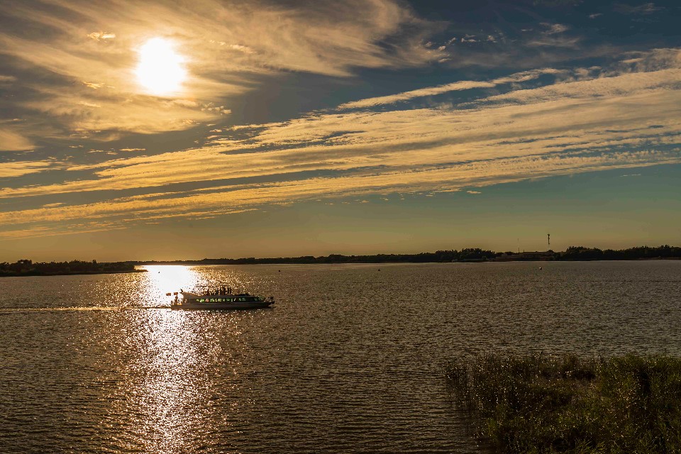 衡水湖有多美丽,七月衡水湖