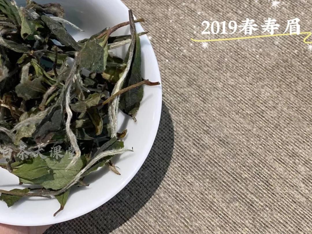 老白茶保存久了闻着没茶味,老白茶深度解读
