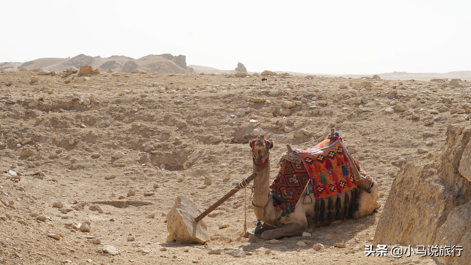 看起来很落后实际很发达的城市,开罗有多落后