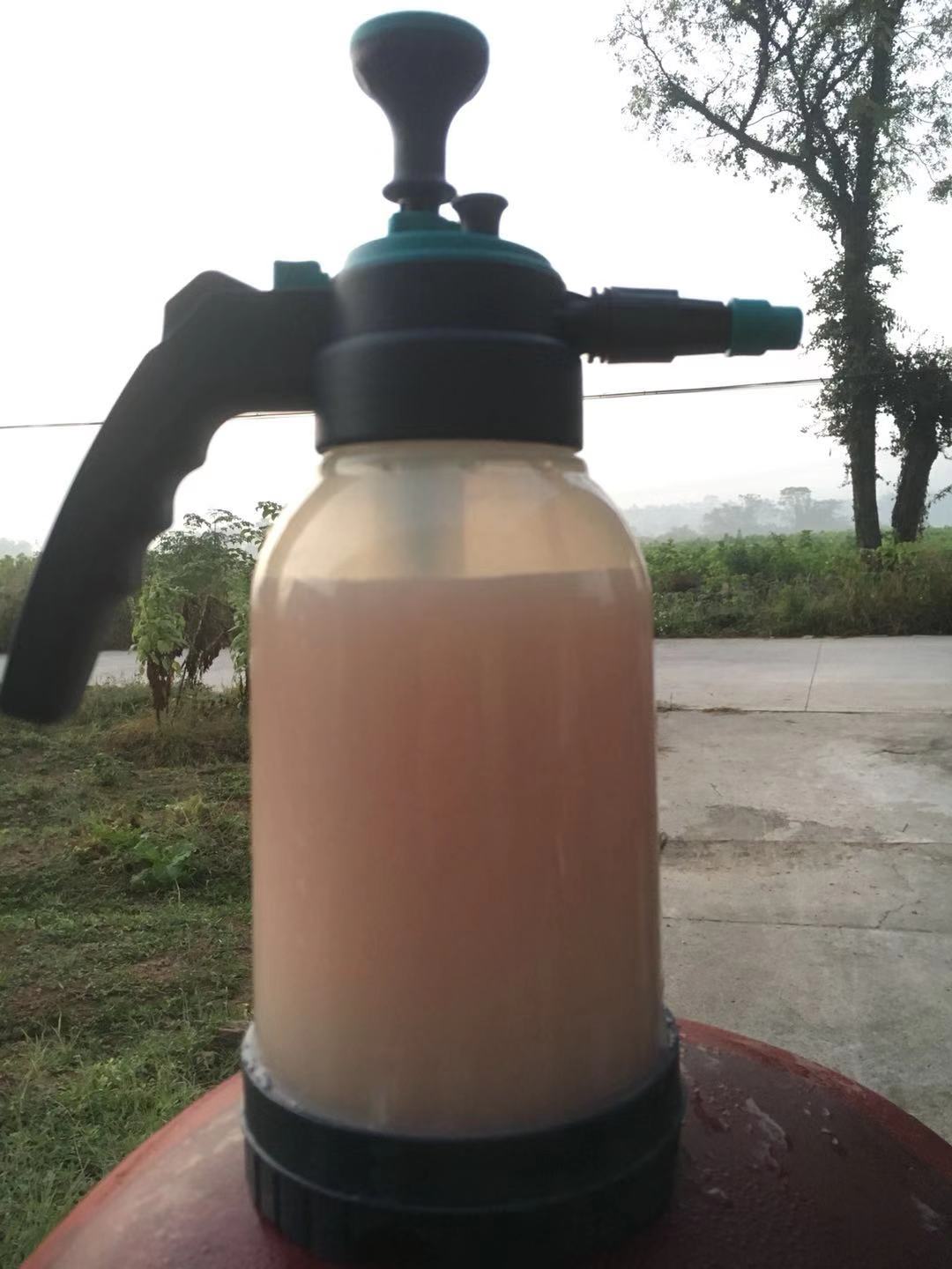 养蚕蚕病发作的原因,养蚕越来越多怎么办