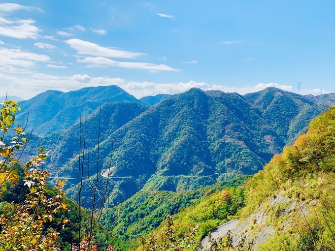 全国最罕见的发现,极其罕见的物种
