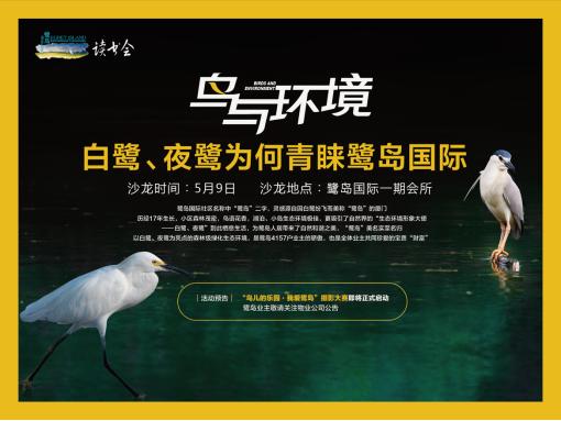 夜鹭栖居鹭岛国际社区：鸟类专家点赞成都“公园城市”建设