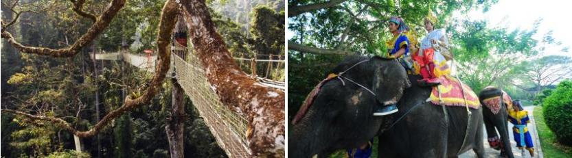西双版纳景点、门票大全