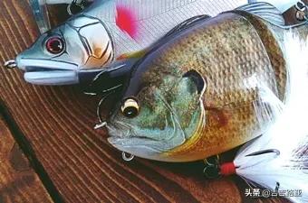 硬饵竿与软饵竿的区别,硬竿跟软竿的感度区别