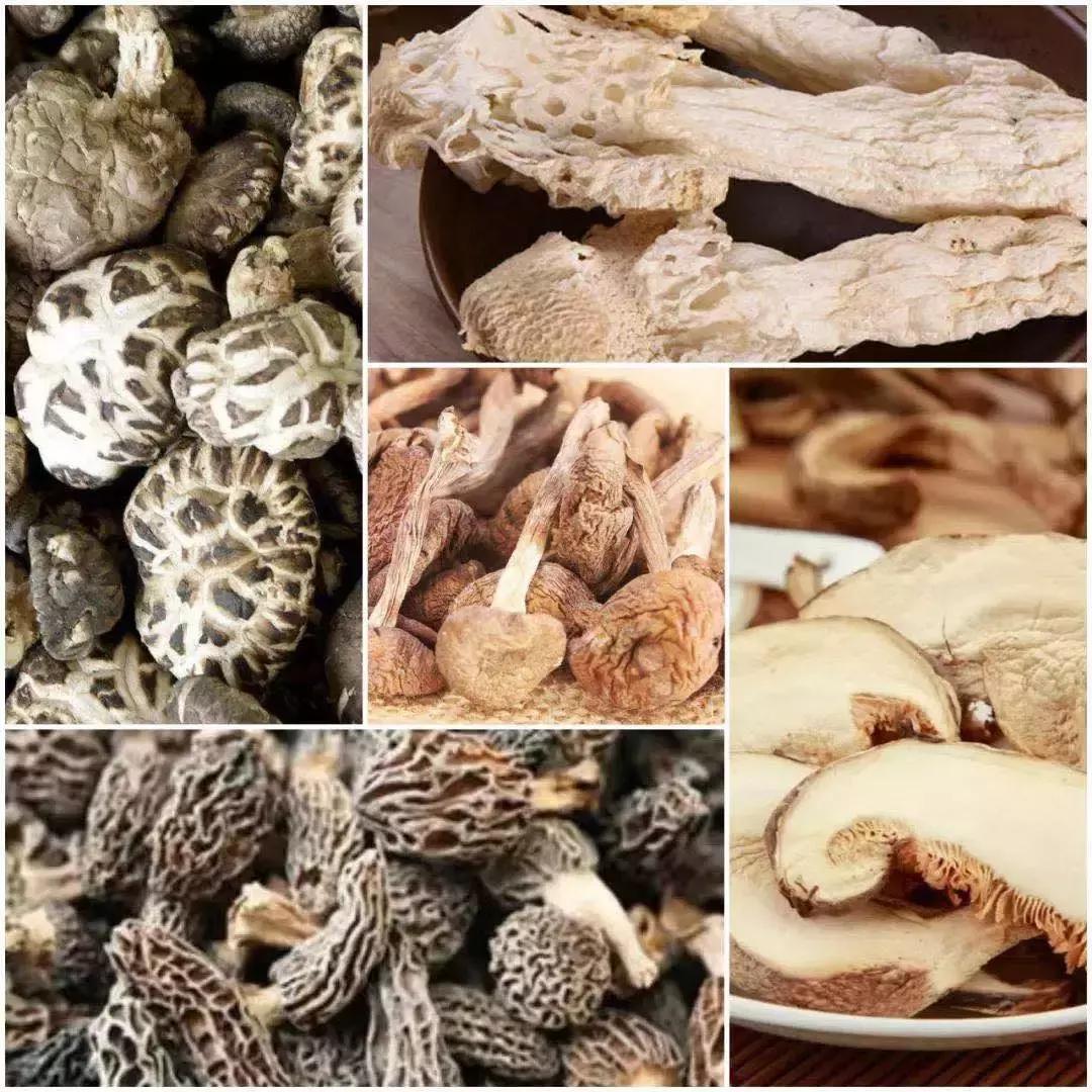 丝绸节!绿色食品展!成都最火爆的夏季购物节在这里