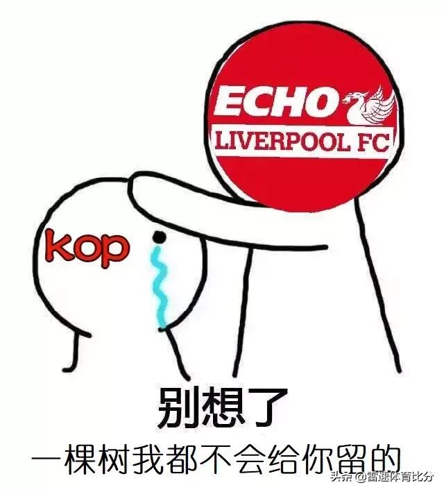 「雷速转会窗」科普：每天说上树下树，你知道这个梗的来源吗？