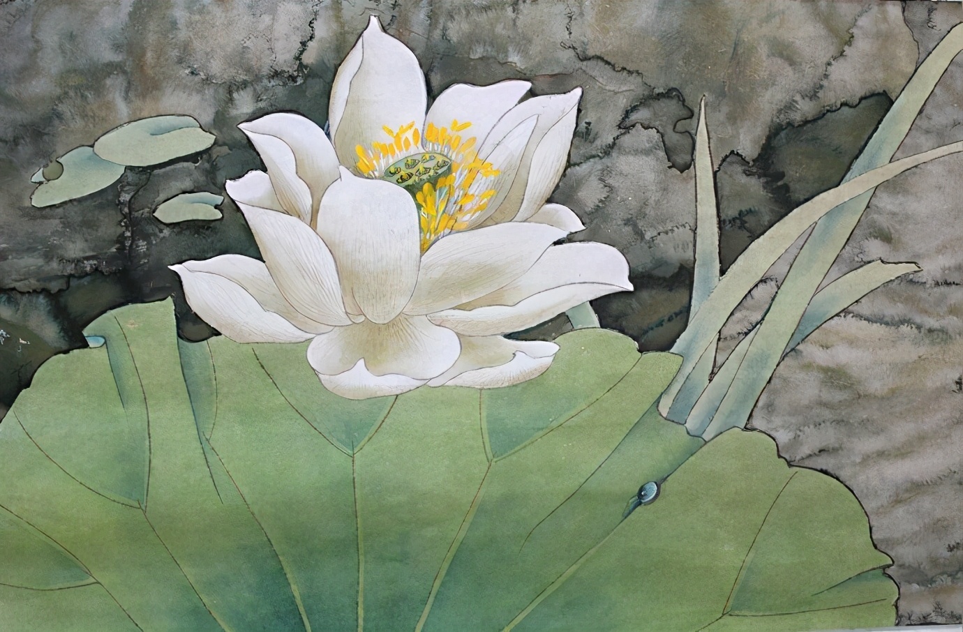 小学语文教资面试《荷花》教案+逐字稿