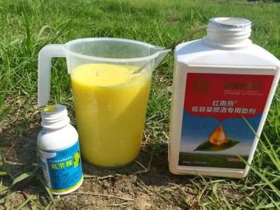 柑桔煤烟病是真菌感染引起的病害，果农要做好基础及化学防治措施