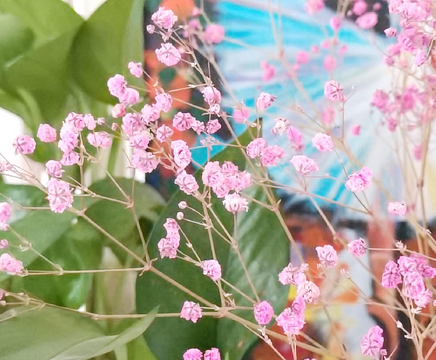 荣耀30s放大20倍拍照评测,荣耀30s测评大米