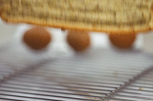 马来西亚进口水果蛋糕,火遍马来西亚的蛋糕