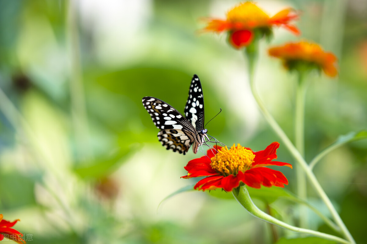 翻教科书才见得着的罕见病例,被俞老遇上了