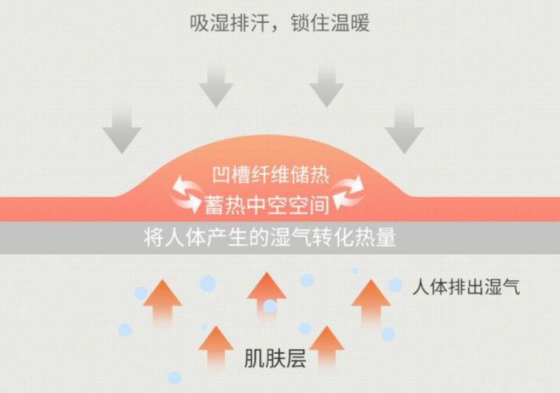 德绒内衣和全棉内衣哪个穿上舒服,什么样的德绒内衣最暖和