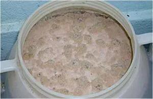 环保种菜酵素制作方法,环保酵素用什么果皮做出来