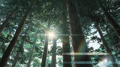 三渲二动画教程,三渲二动画技术用什么软件做