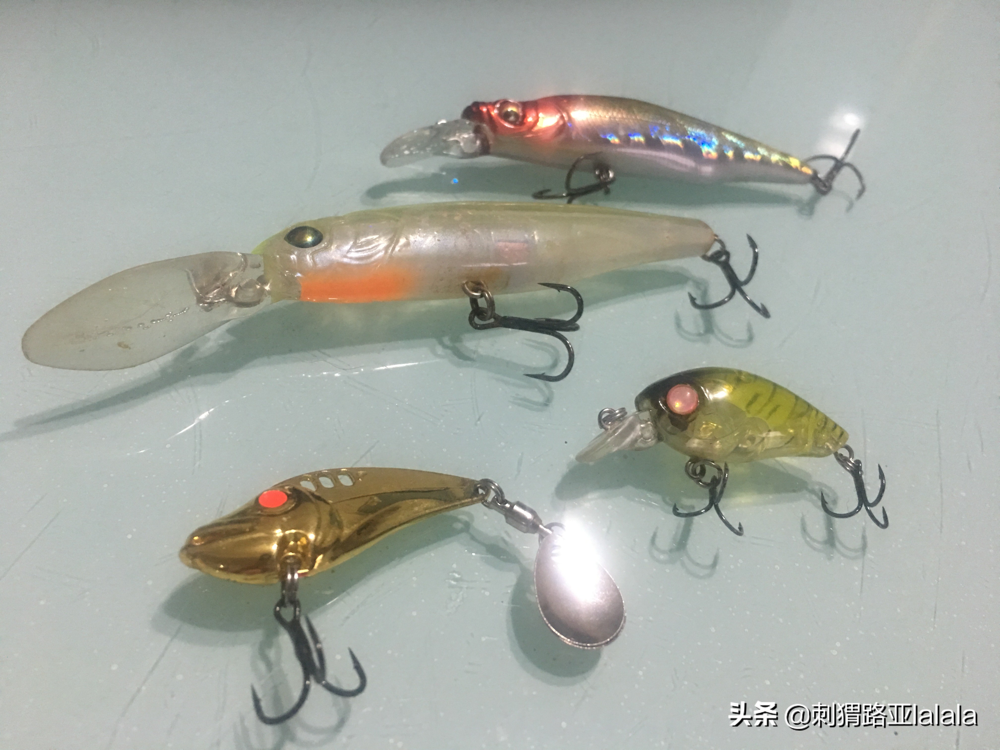 路亚鱼口不好应该用大饵还是小饵,路亚钓翘嘴用浮饵好还是沉饵好