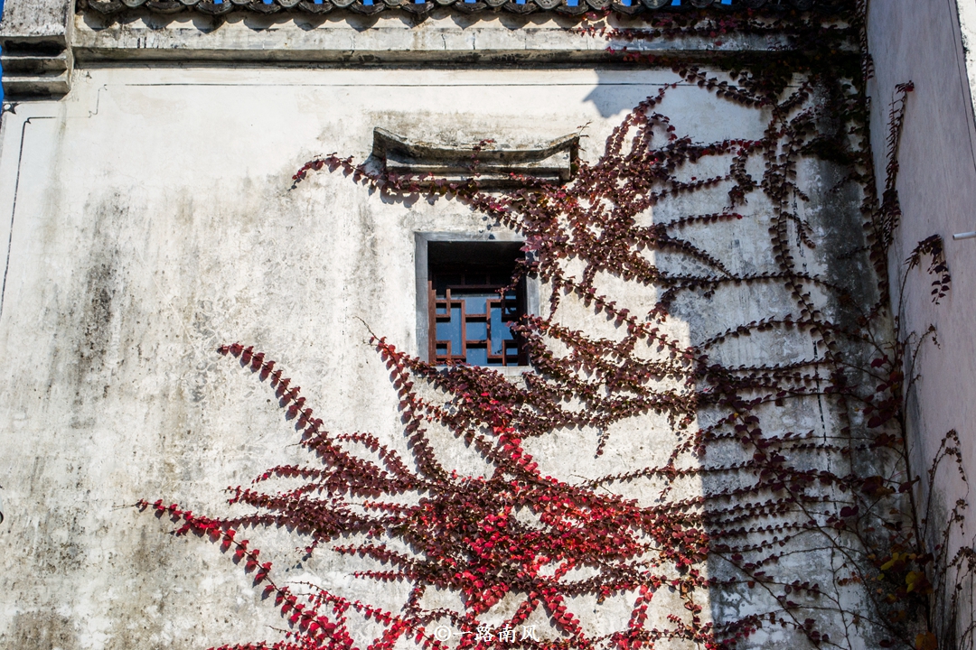 从黄山脚下到西递古村,黄山宏村秋色水墨